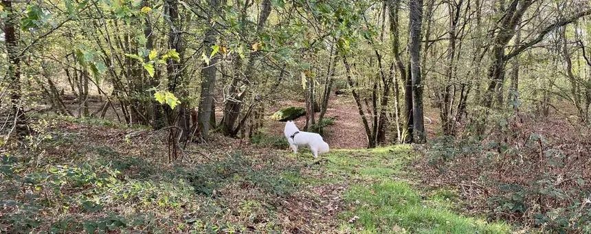 Stage yoga jeûne randonnée à Bonnesvalyn dans l'Aisne
